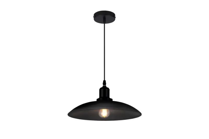 Decor Horizon matt black industrial pendant lamp 4512