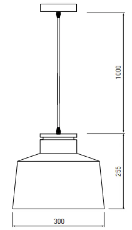 Decor Margus mat zwarte metalen hanglamp met houten toevoeging 2911