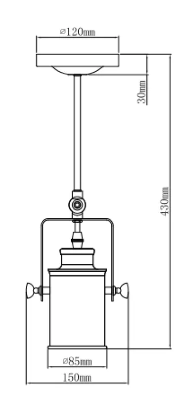 Decor Demir zwarte hanglamp met 1 lichtbron 3963