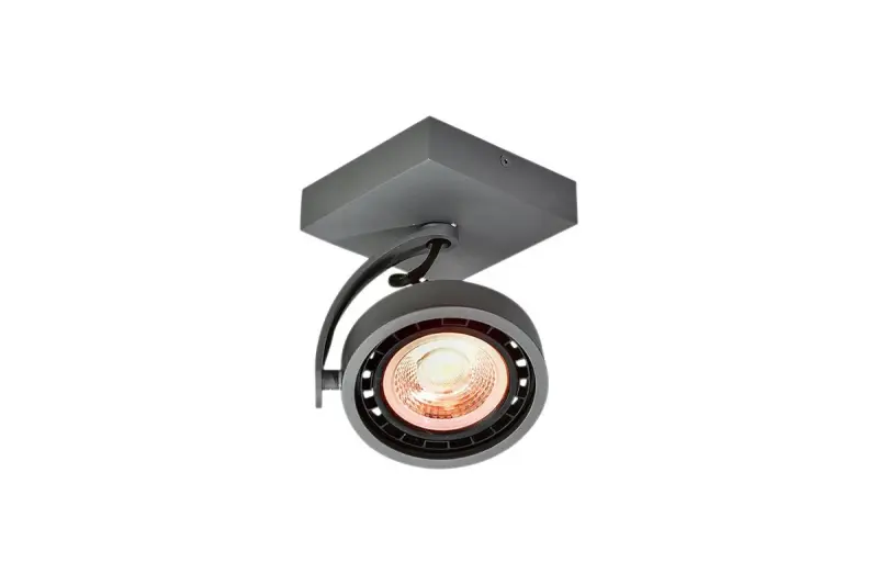 Decor Wally plafondlamp of wandlamp antraciet in bewegende kop 1 lichtbron 4281