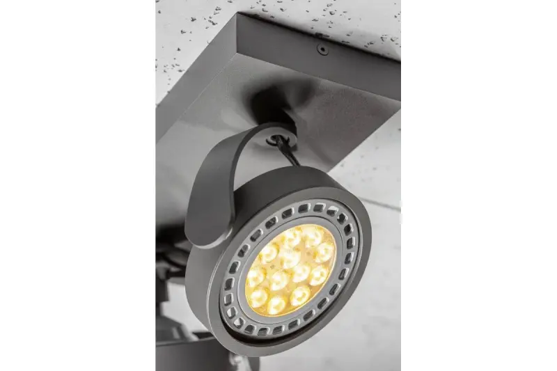 Decor Wally plafondlamp of wandlamp antraciet in bewegende kop 2 lichtbronnen 4304