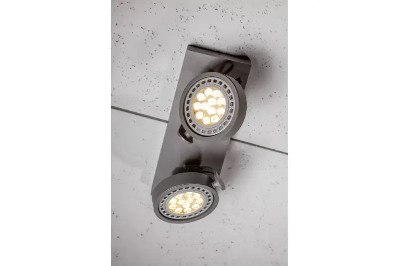 Decor Wally plafondlamp of wandlamp antraciet in bewegende kop 2 lichtbronnen 4304