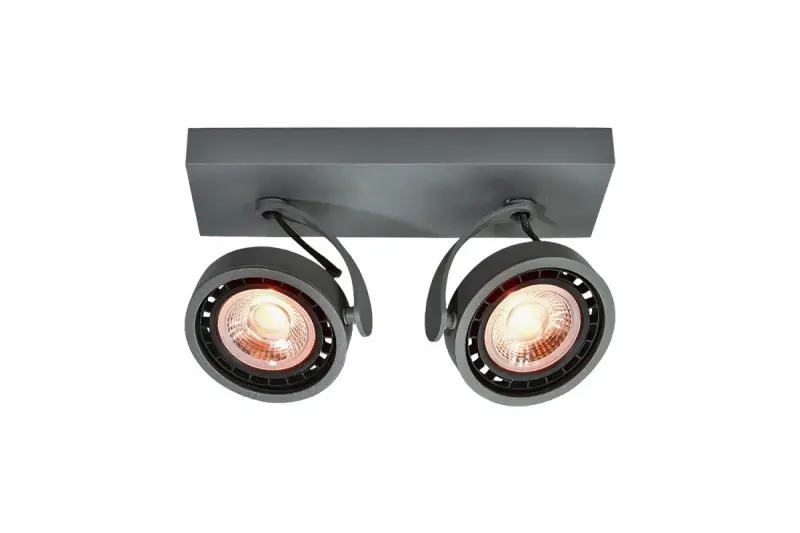 Decor Wally plafondlamp of wandlamp antraciet in bewegende kop 2 lichtbronnen 4304