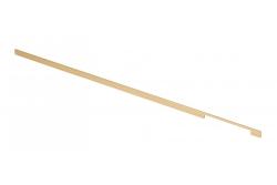 Aluminium handle EXTEND, L=1200 mm, clear brushed gold 1208965513